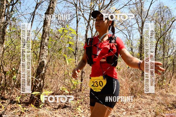 Buy your photos of the eventWOS Festival  on Fotop