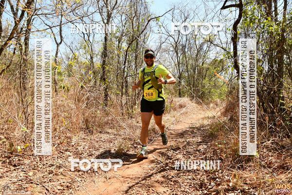 Buy your photos of the eventWOS Festival  on Fotop
