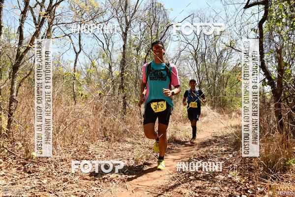 Buy your photos of the eventWOS Festival  on Fotop