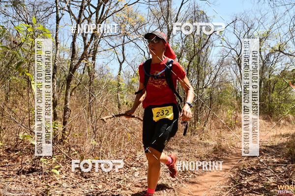 Buy your photos of the eventWOS Festival  on Fotop