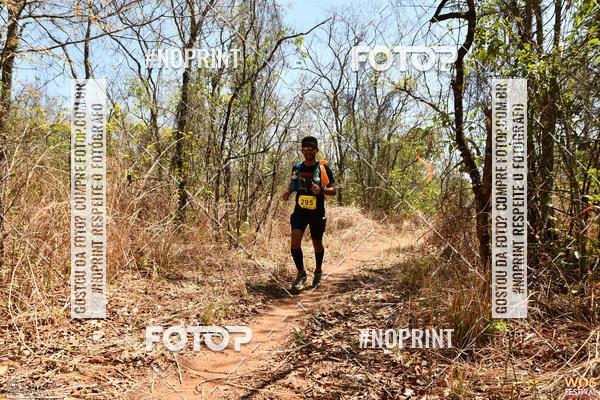 Buy your photos of the eventWOS Festival  on Fotop