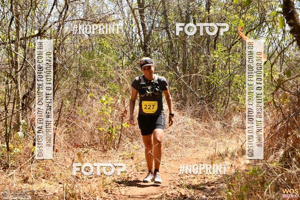 Buy your photos of the eventWOS Festival  on Fotop