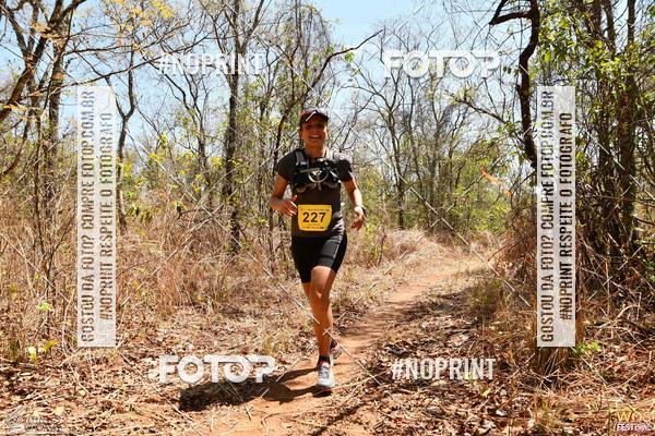 Buy your photos of the eventWOS Festival  on Fotop