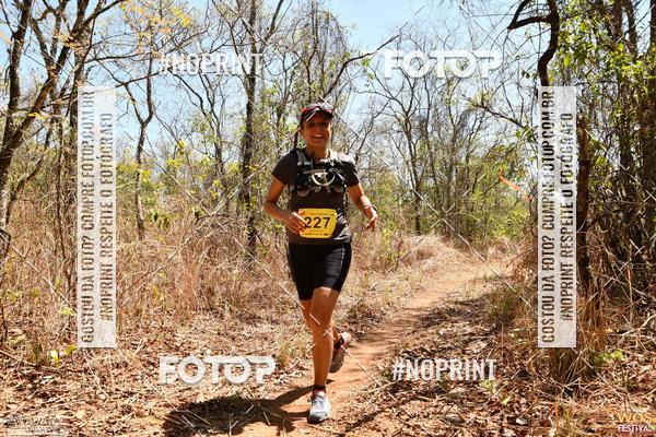 Buy your photos of the eventWOS Festival  on Fotop