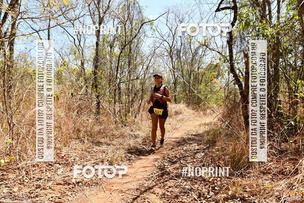 Buy your photos of the eventWOS Festival  on Fotop