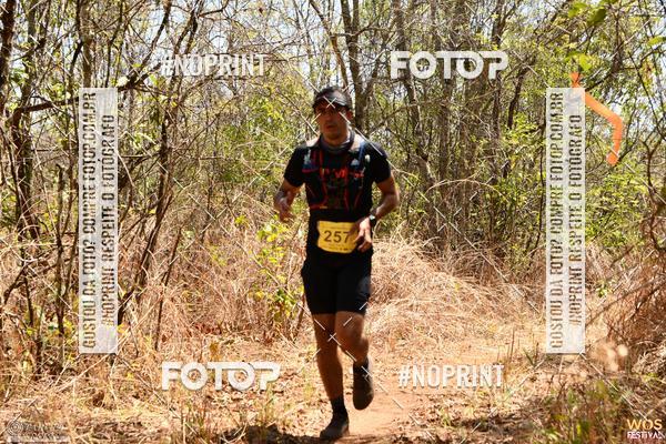 Buy your photos of the eventWOS Festival  on Fotop