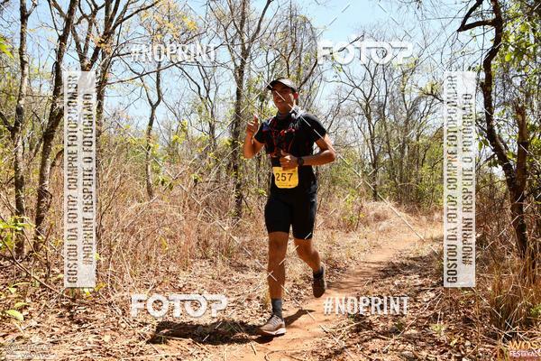 Buy your photos of the eventWOS Festival  on Fotop