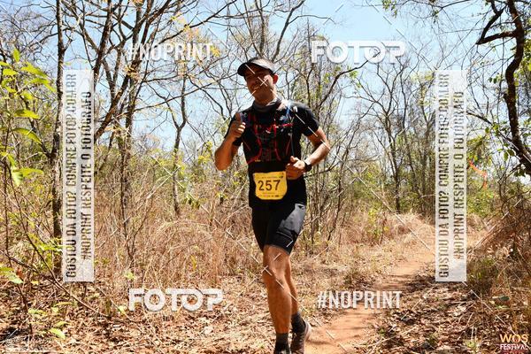 Buy your photos of the eventWOS Festival  on Fotop