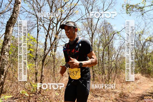 Buy your photos of the eventWOS Festival  on Fotop