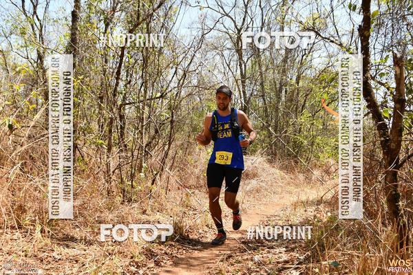 Buy your photos of the eventWOS Festival  on Fotop