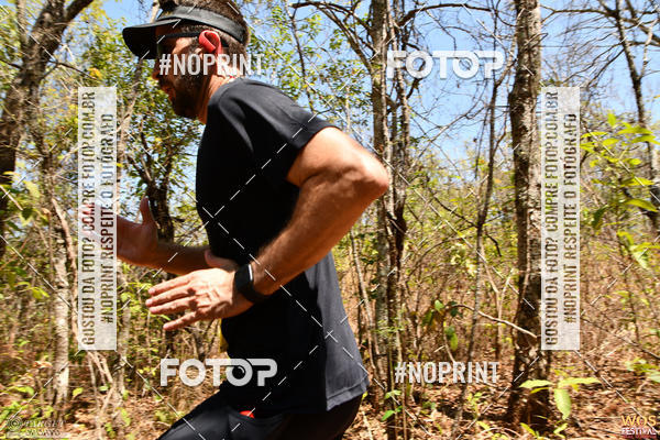 Buy your photos of the eventWOS Festival  on Fotop