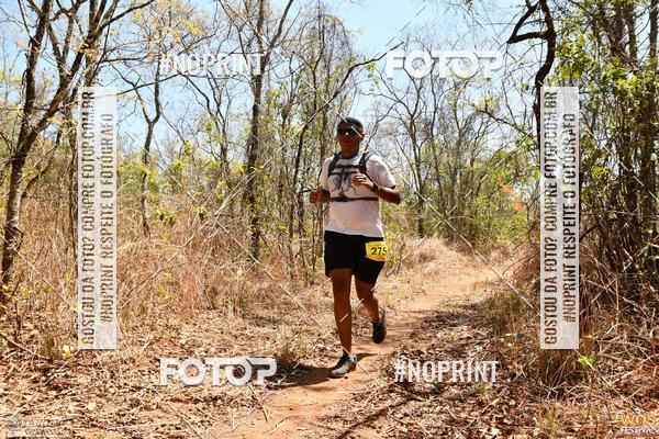 Buy your photos of the eventWOS Festival  on Fotop