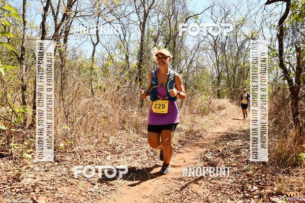 Buy your photos of the eventWOS Festival  on Fotop