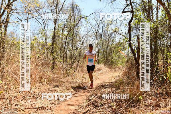 Buy your photos of the eventWOS Festival  on Fotop