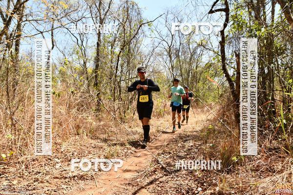 Buy your photos of the eventWOS Festival  on Fotop