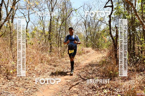 Buy your photos of the eventWOS Festival  on Fotop