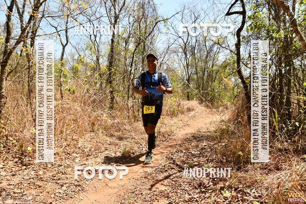 Buy your photos of the eventWOS Festival  on Fotop