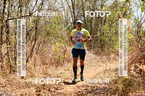 Buy your photos of the eventWOS Festival  on Fotop