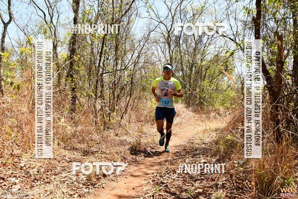 Buy your photos of the eventWOS Festival  on Fotop