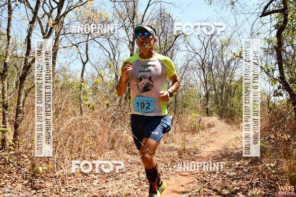 Buy your photos of the eventWOS Festival  on Fotop