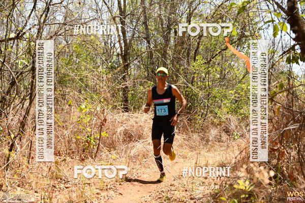 Buy your photos of the eventWOS Festival  on Fotop