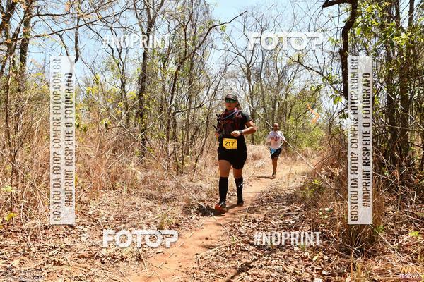 Buy your photos of the eventWOS Festival  on Fotop