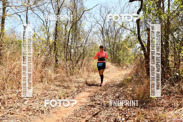 Buy your photos of the eventWOS Festival  on Fotop