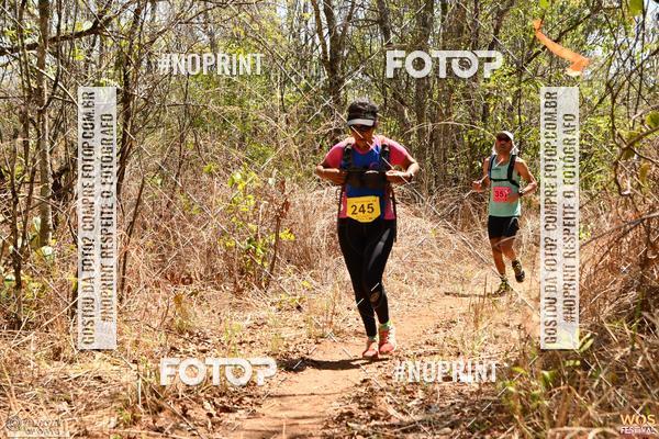 Buy your photos of the eventWOS Festival  on Fotop