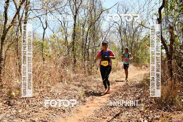 Buy your photos of the eventWOS Festival  on Fotop