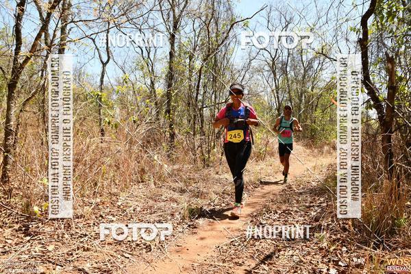 Buy your photos of the eventWOS Festival  on Fotop