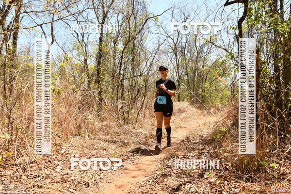 Buy your photos of the eventWOS Festival  on Fotop