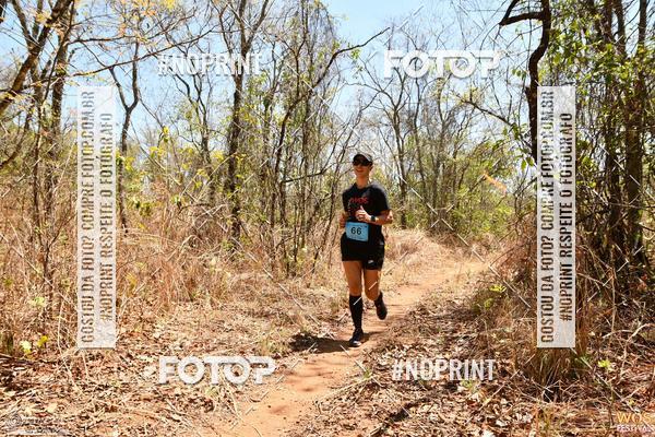 Buy your photos of the eventWOS Festival  on Fotop