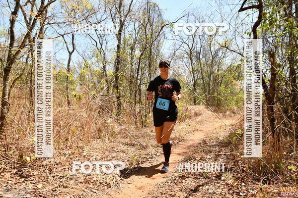 Buy your photos of the eventWOS Festival  on Fotop