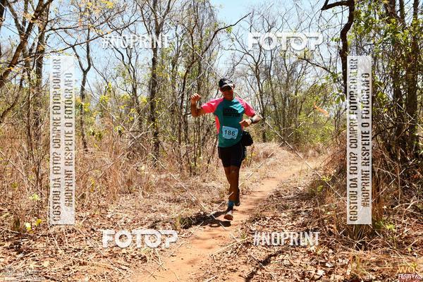 Buy your photos of the eventWOS Festival  on Fotop