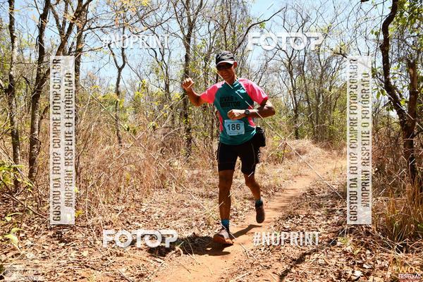 Buy your photos of the eventWOS Festival  on Fotop
