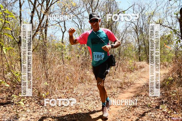 Buy your photos of the eventWOS Festival  on Fotop