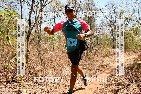 Buy your photos of the eventWOS Festival  on Fotop