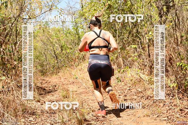 Buy your photos of the eventWOS Festival  on Fotop