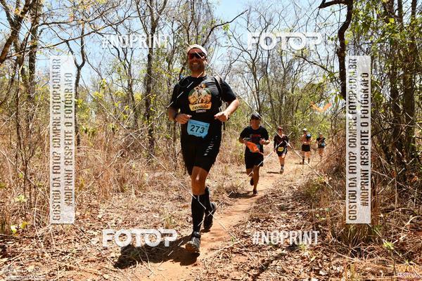 Buy your photos of the eventWOS Festival  on Fotop