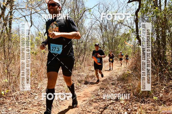 Buy your photos of the eventWOS Festival  on Fotop