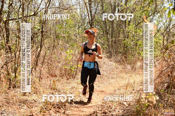 Buy your photos of the eventWOS Festival  on Fotop