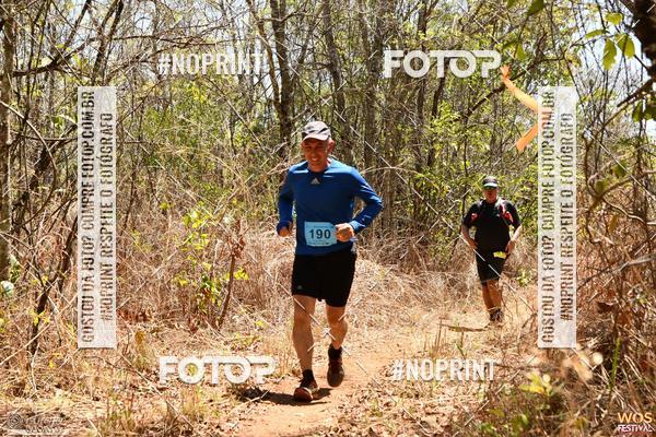 Buy your photos of the eventWOS Festival  on Fotop