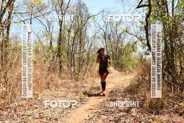 Buy your photos of the eventWOS Festival  on Fotop