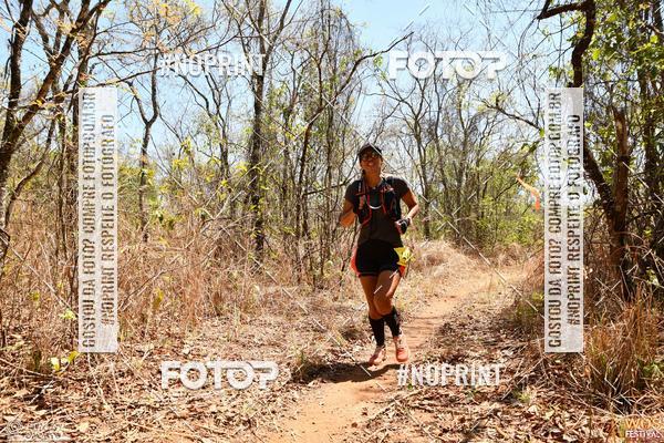 Buy your photos of the eventWOS Festival  on Fotop