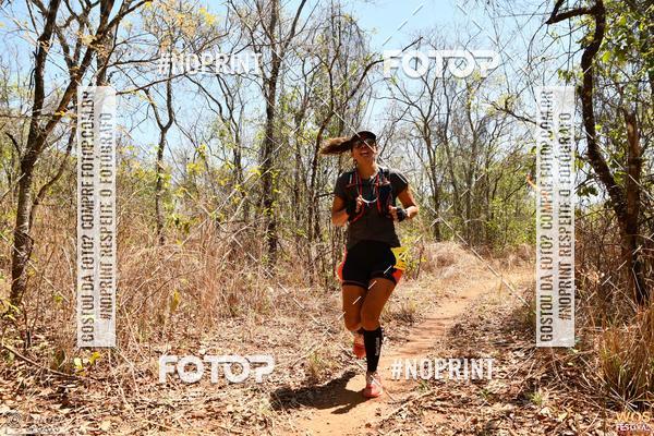 Buy your photos of the eventWOS Festival  on Fotop