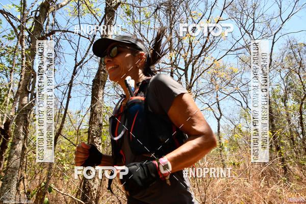 Buy your photos of the eventWOS Festival  on Fotop