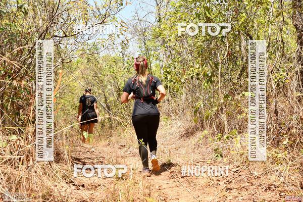 Buy your photos of the eventWOS Festival  on Fotop