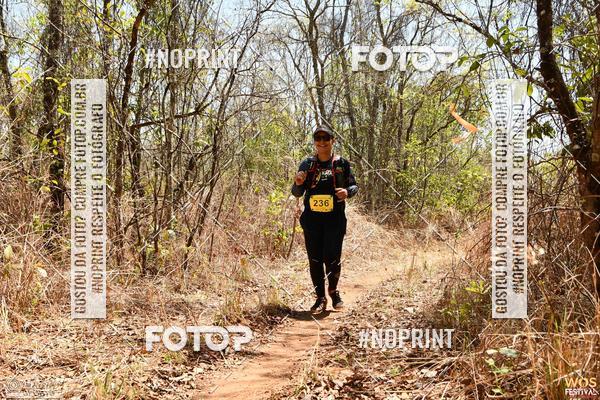 Buy your photos of the eventWOS Festival  on Fotop