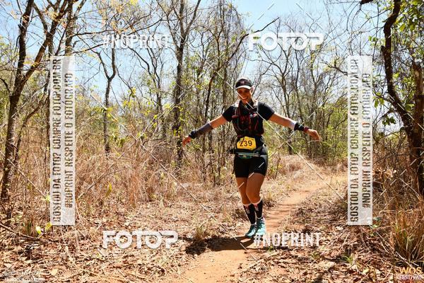 Buy your photos of the eventWOS Festival  on Fotop