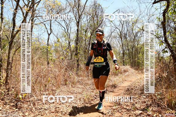 Buy your photos of the eventWOS Festival  on Fotop